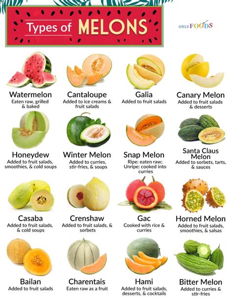 melons tibe|Trying Every Type Of Melon 